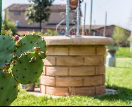B&B Il Roseto Spilamberto エクステリア 写真