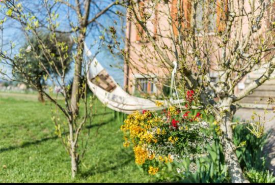 B&B Il Roseto Spilamberto エクステリア 写真