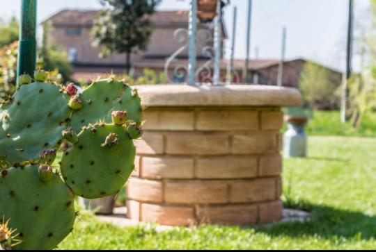 B&B Il Roseto Spilamberto エクステリア 写真